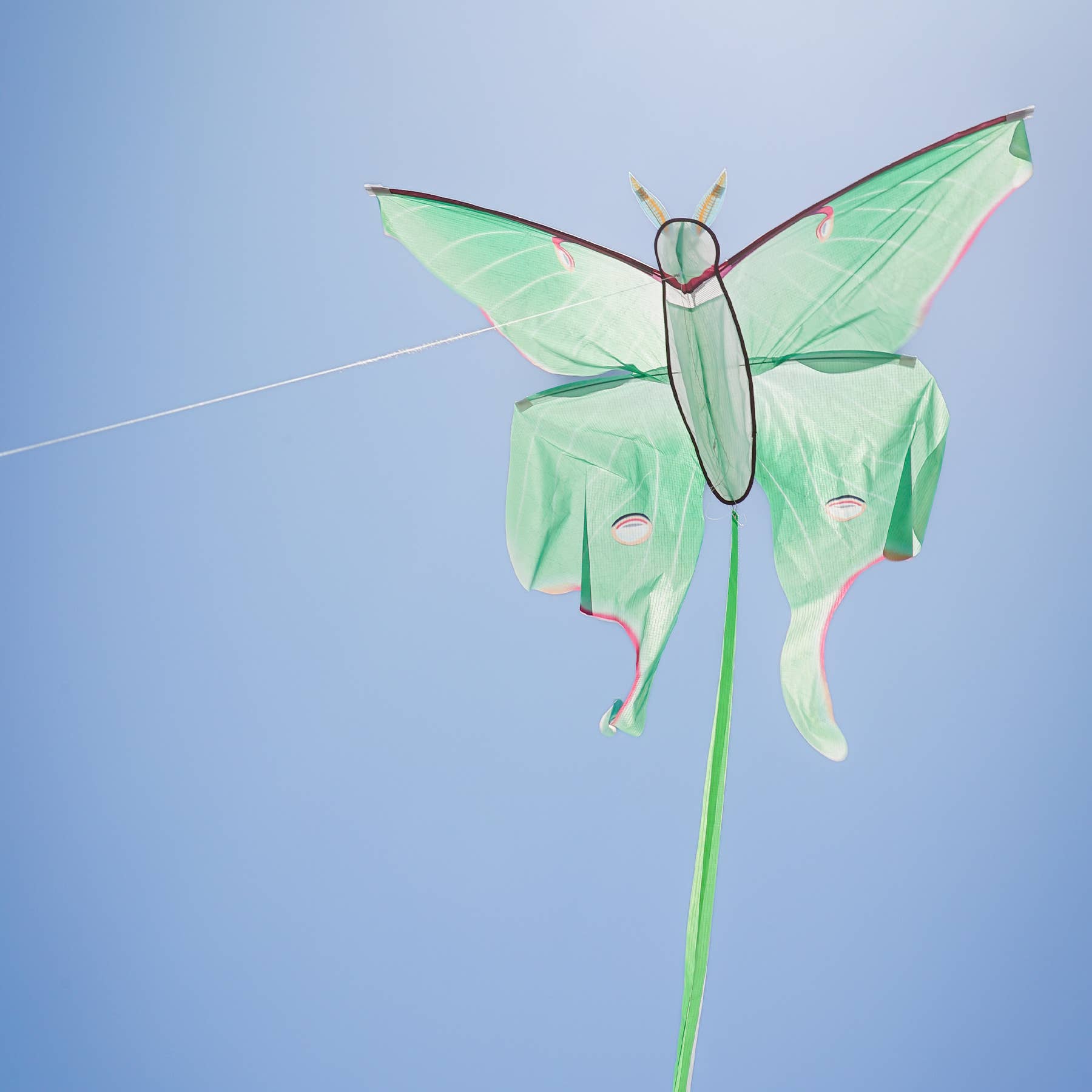 Luna Moth Kite
