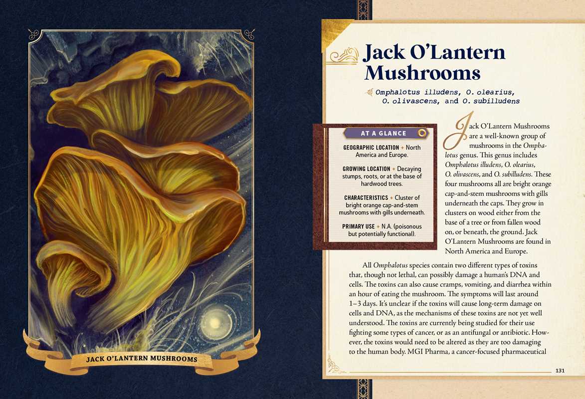 Little Book of Mushrooms