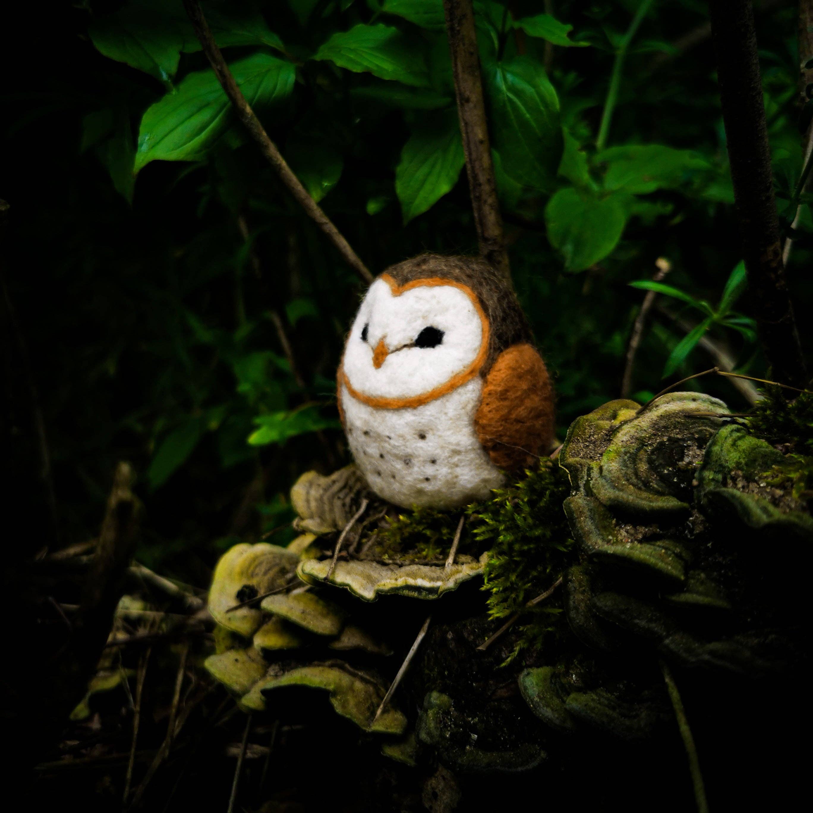 Barn Owl, Needle Felting Kit