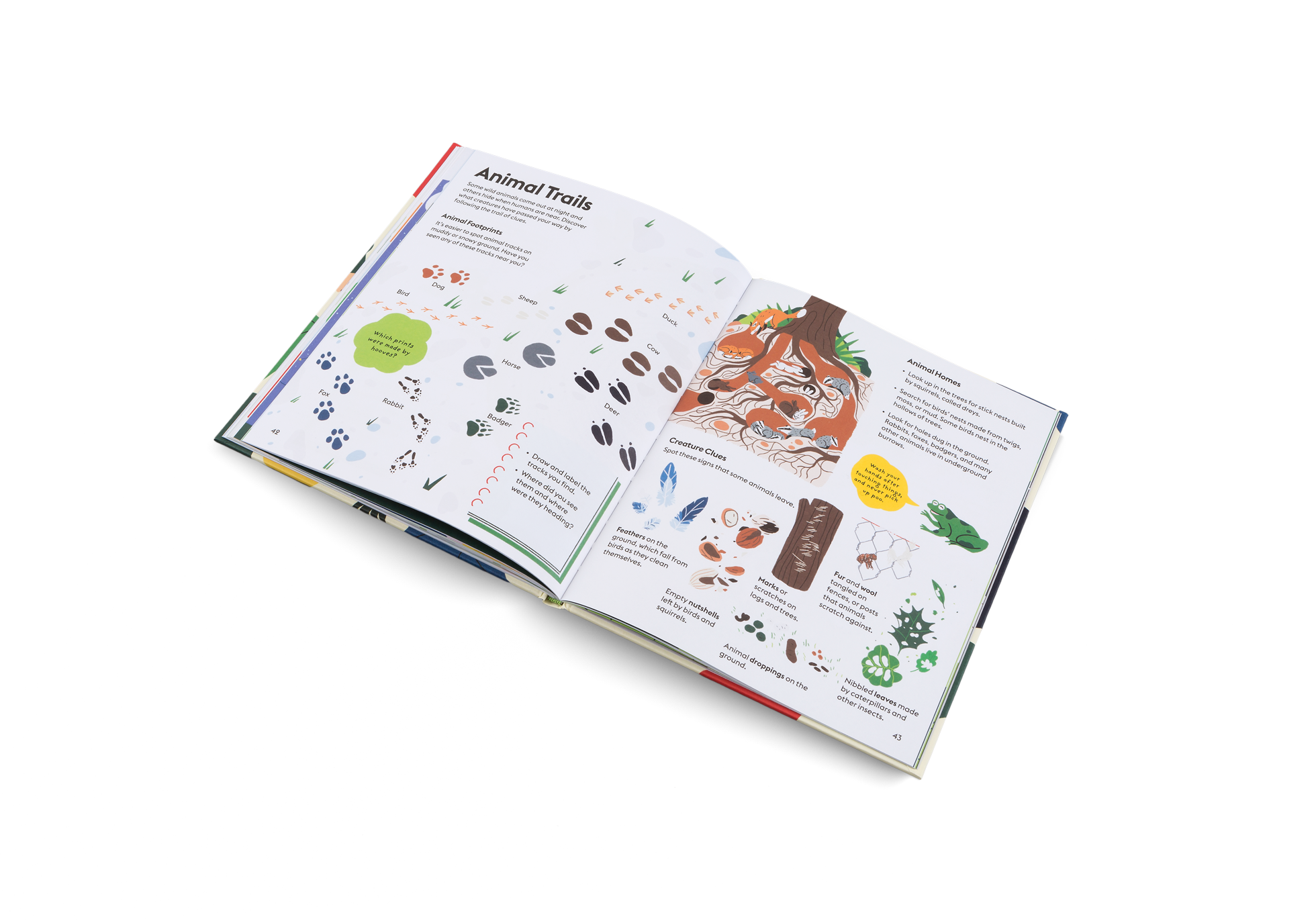 Let’s Play Outdoors!