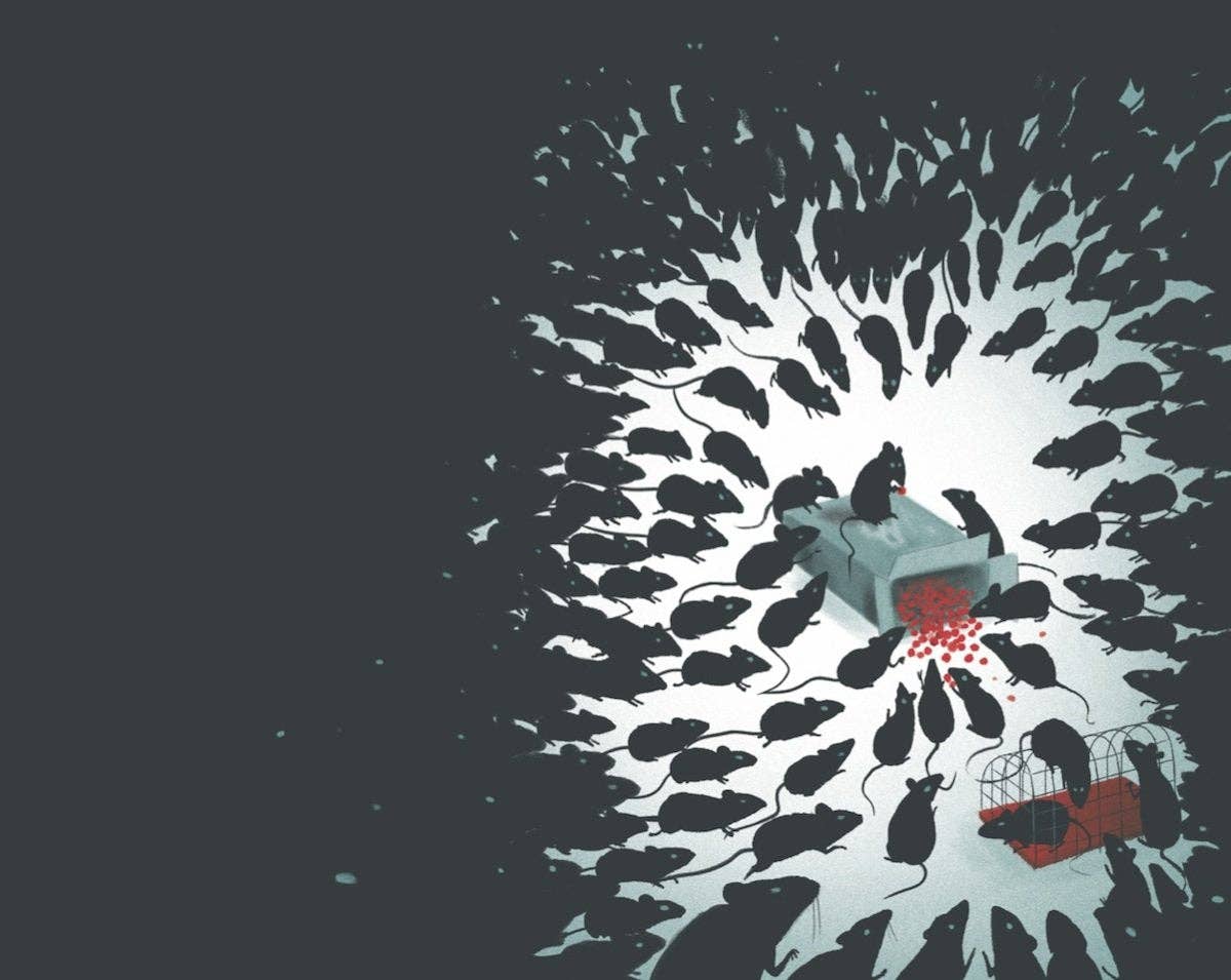 The Pied Piper of Hamelin