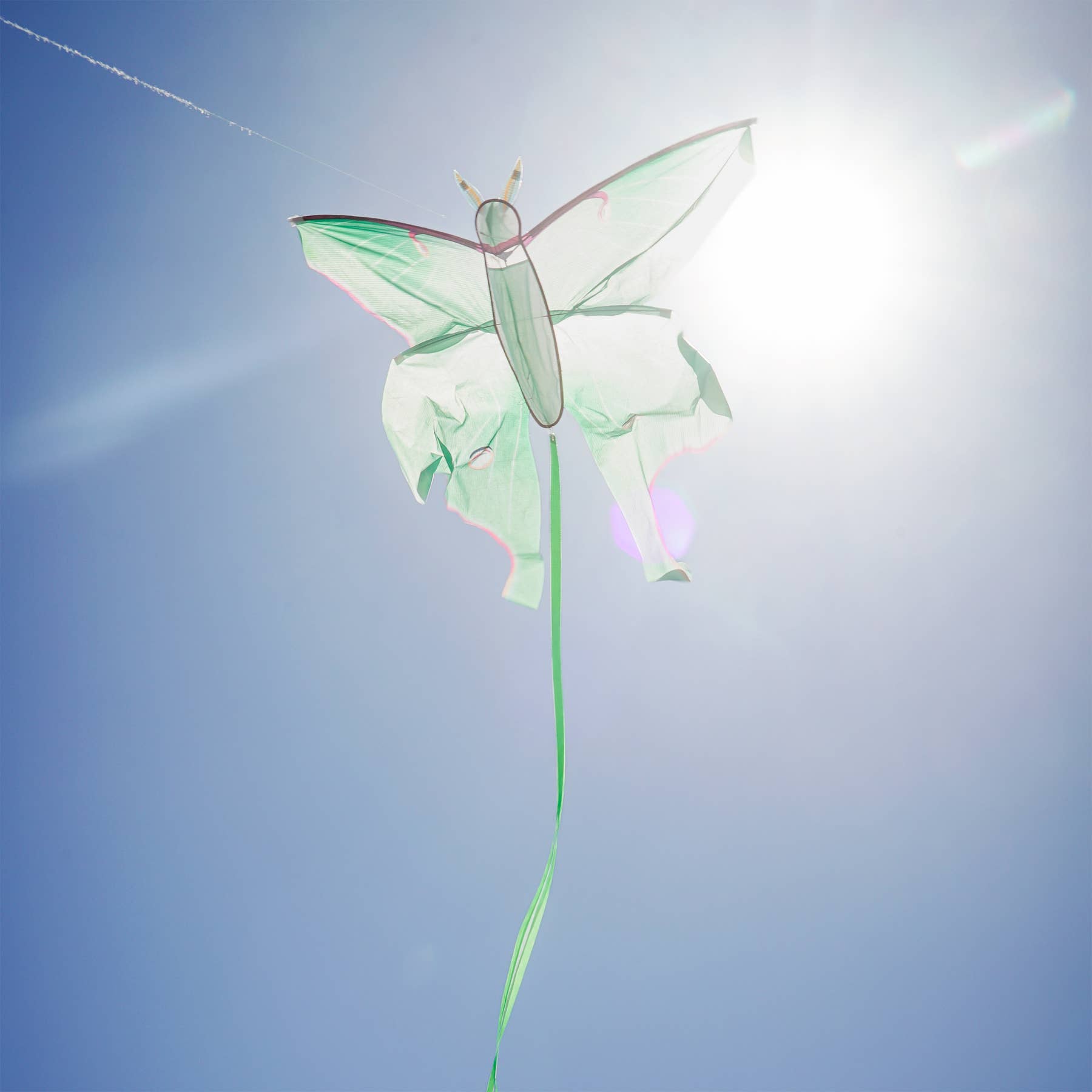 Luna Moth Kite