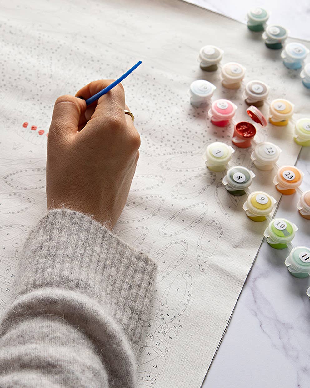 Paint by Numbers Kit & Canvas - In Bloom