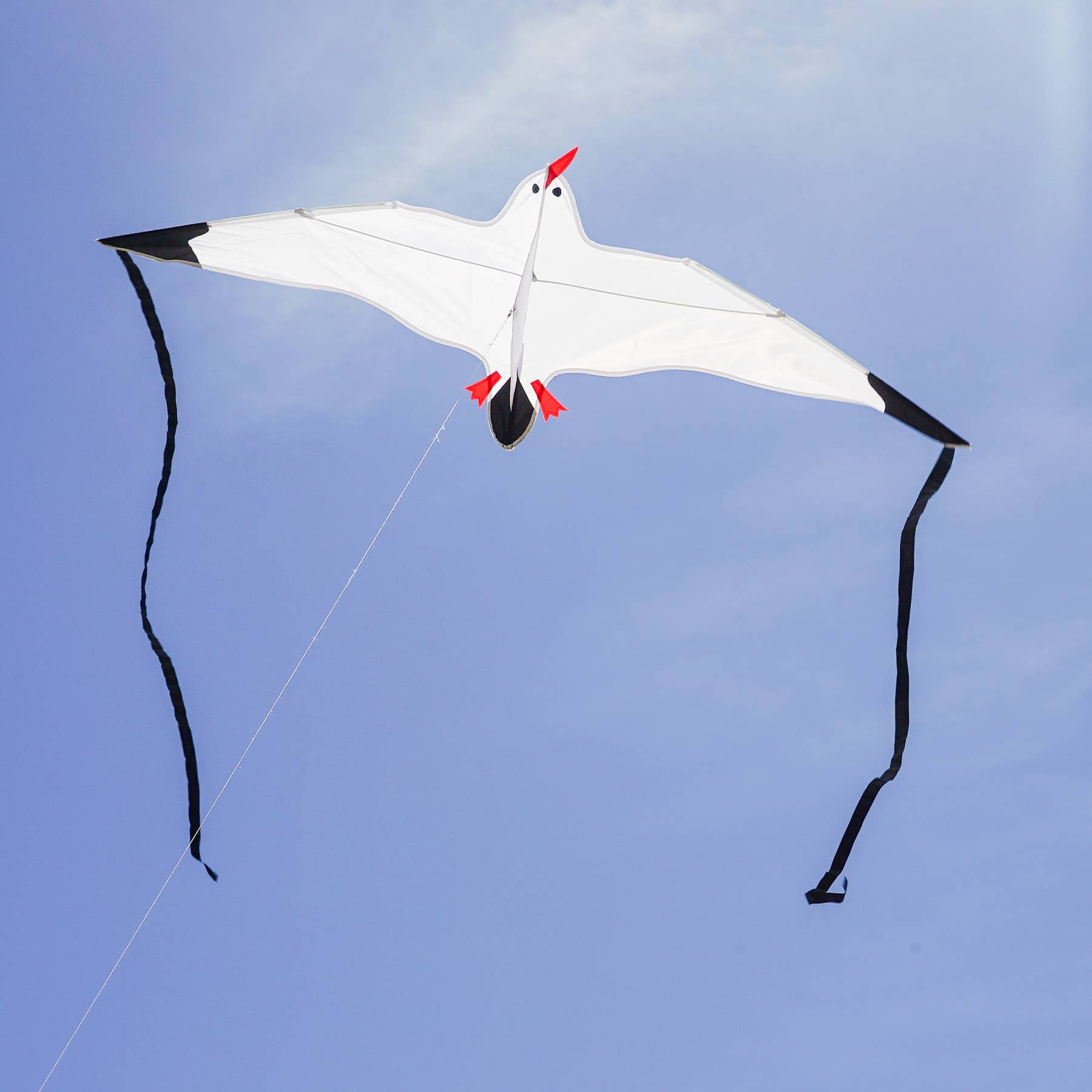 Seagull Kite