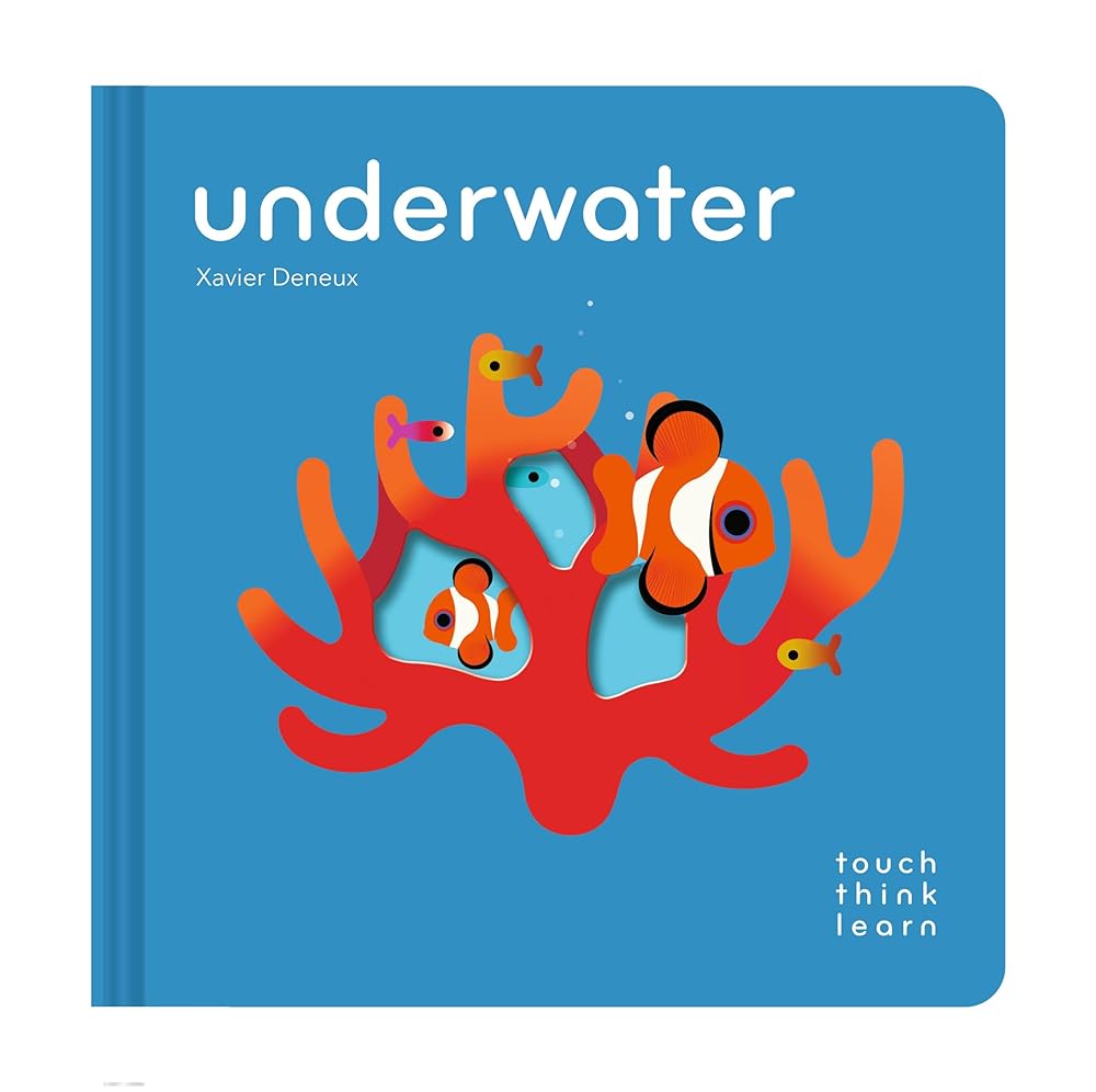 TouchThinkLearn: Underwater cover image