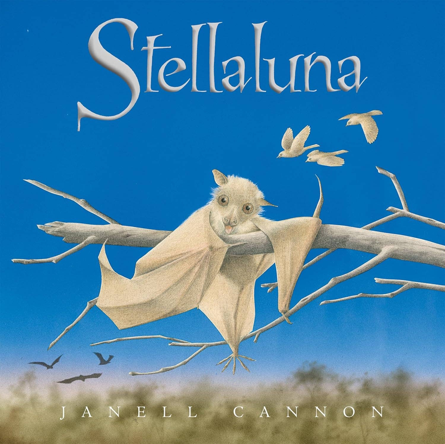 Stellaluna 25th Anniversary Edition: Janell Cannon
