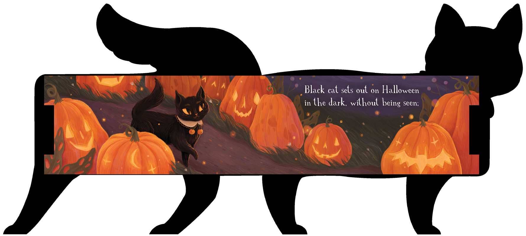 One Black Cat by Robie Rogge: Board Books; 12 pages / English