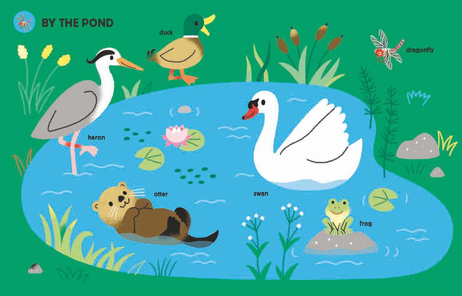 My Big Book of Animal Sounds