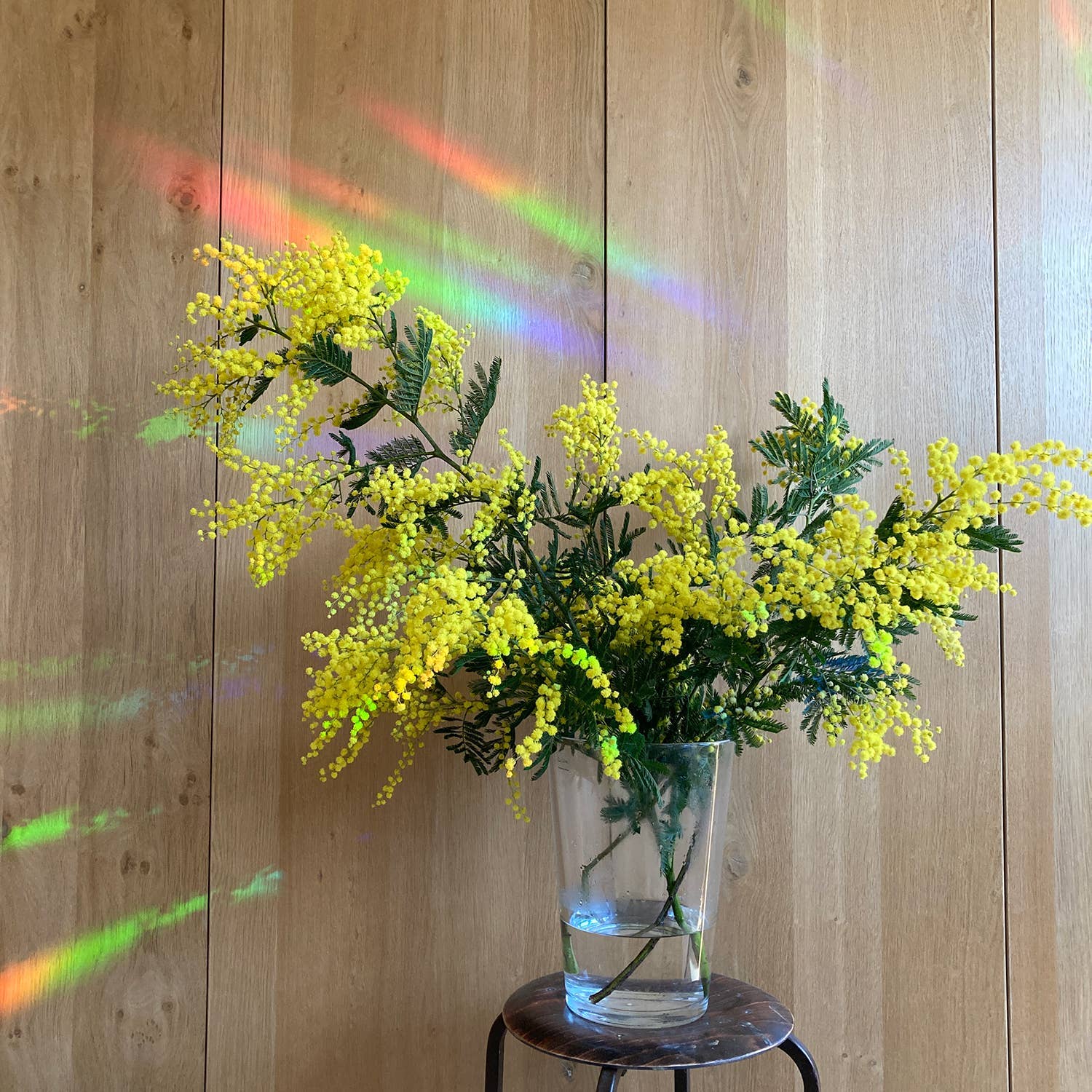 Rainbow maker sticker - Rainbow Drizzle