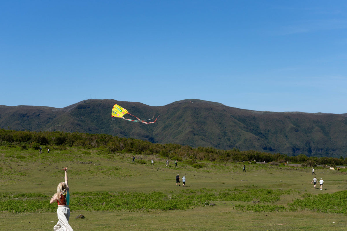 POCKET KITE / SKY SEER