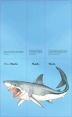 Flip-A-Fin