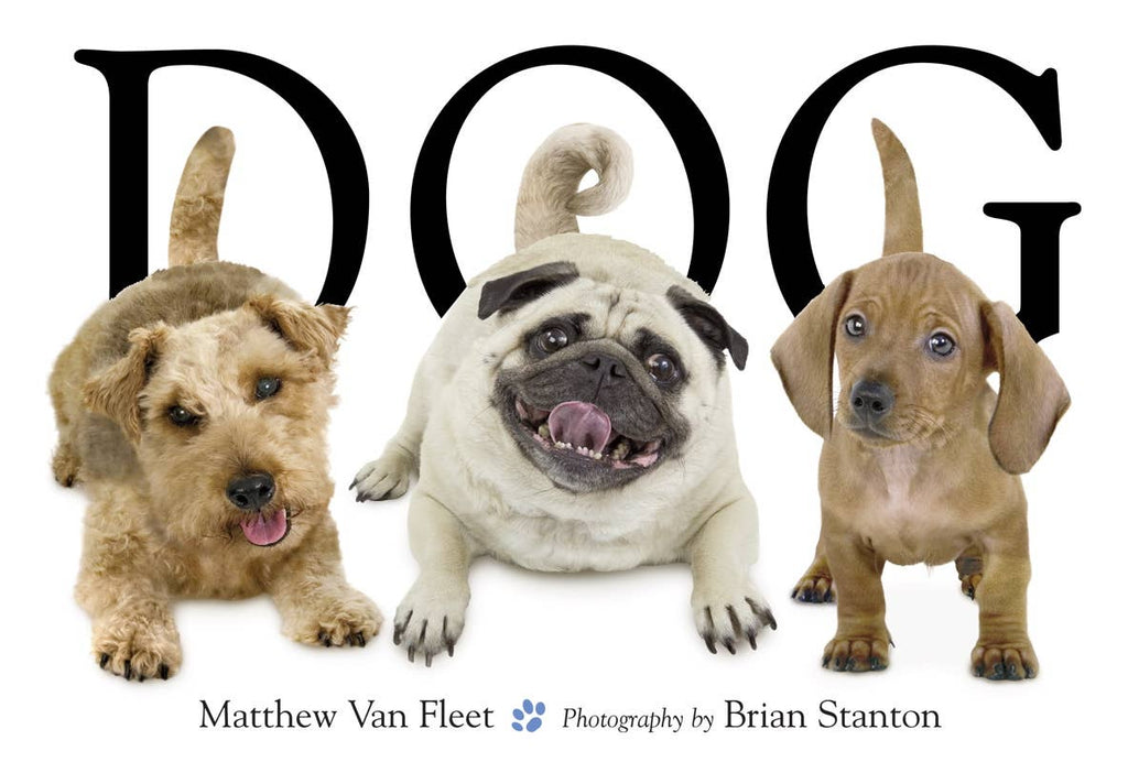 Dog by Matthew Van Fleet