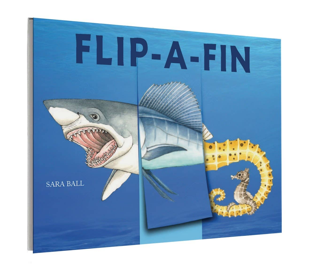 Flip-A-Fin
