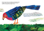La semillita (The Tiny Seed) by Eric   Carle