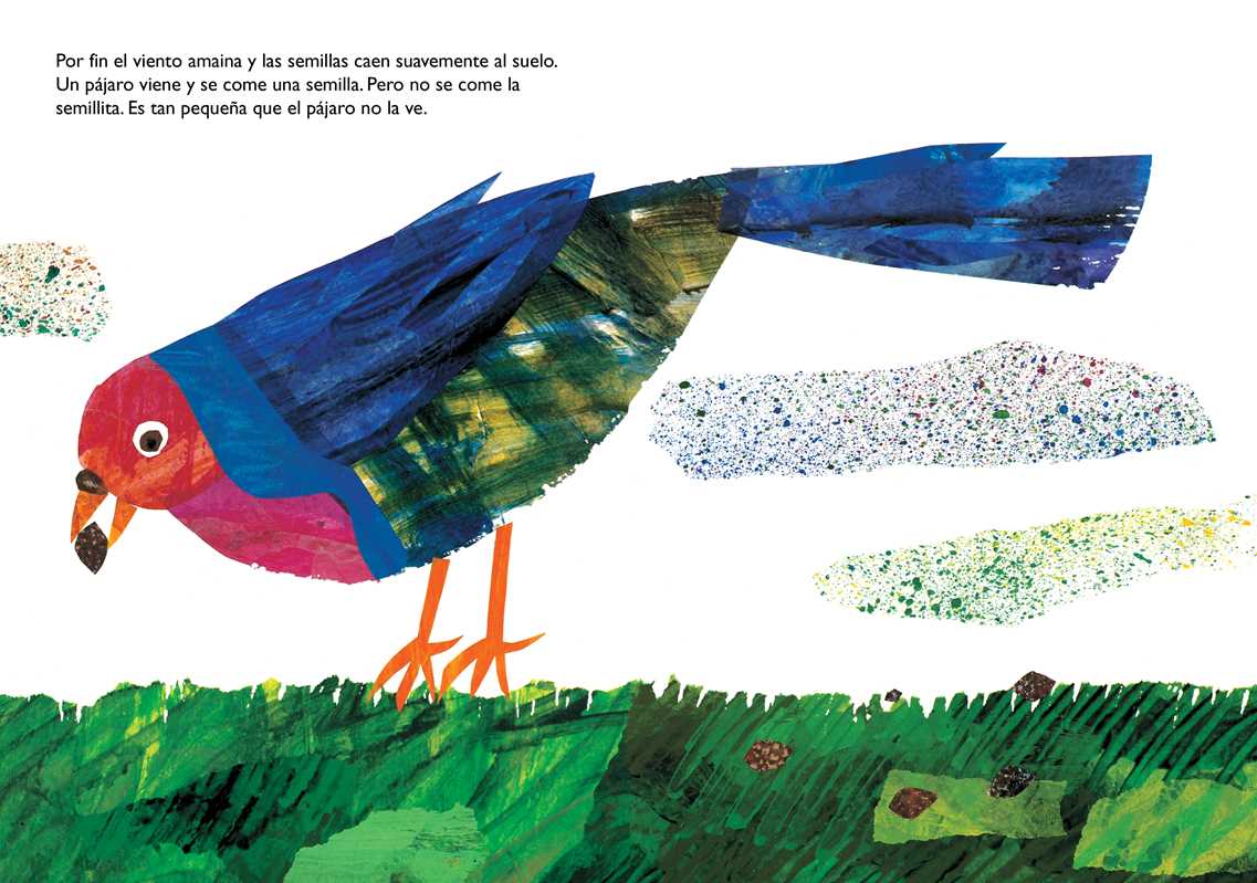 La semillita (The Tiny Seed) by Eric   Carle