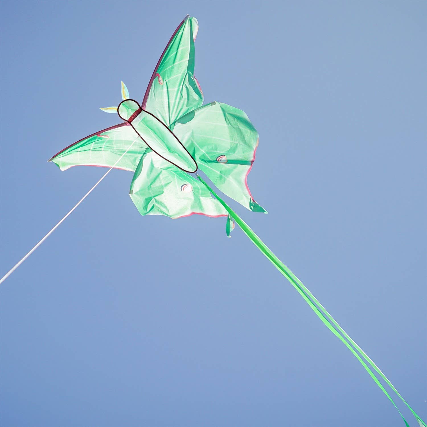 Luna Moth Kite