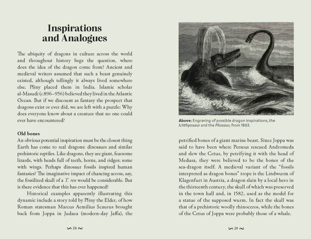 Pocket Book of Dragons