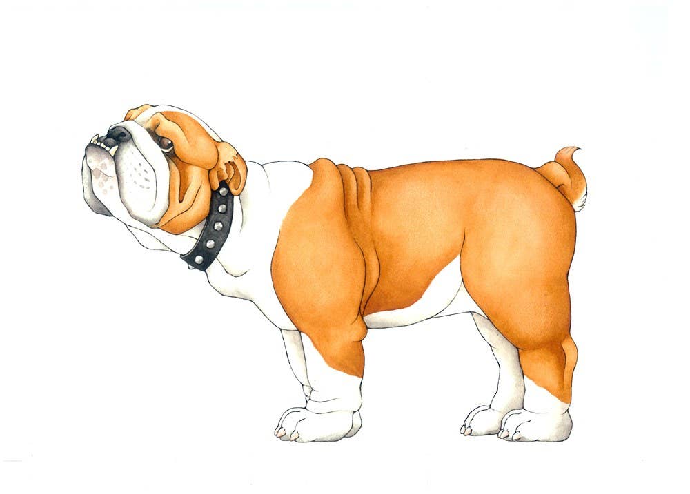 Mix-a-Mutt: Make Your Own Wacky Canine!