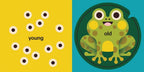 Spring Street Touch and Trace: Opposites