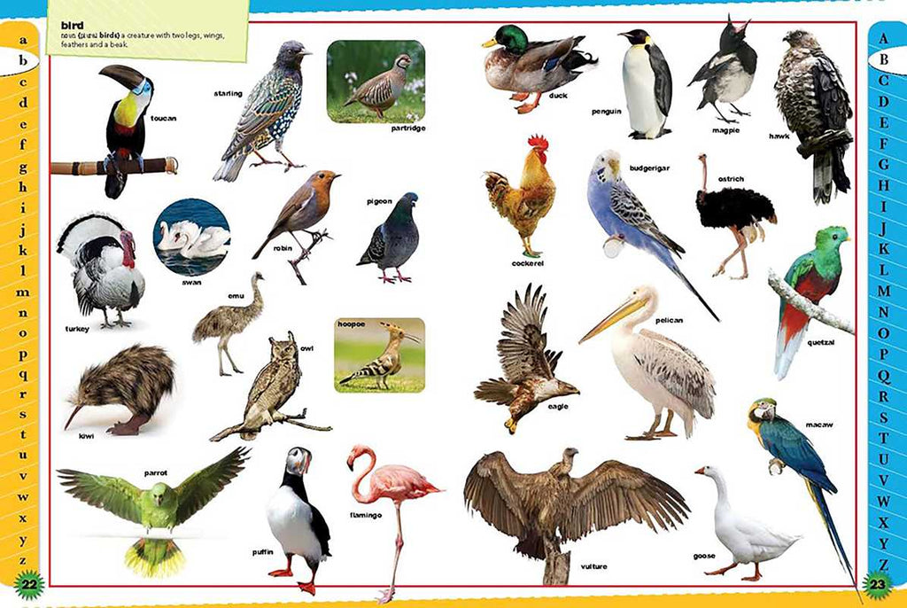Children's Dictionary by Martin Manser