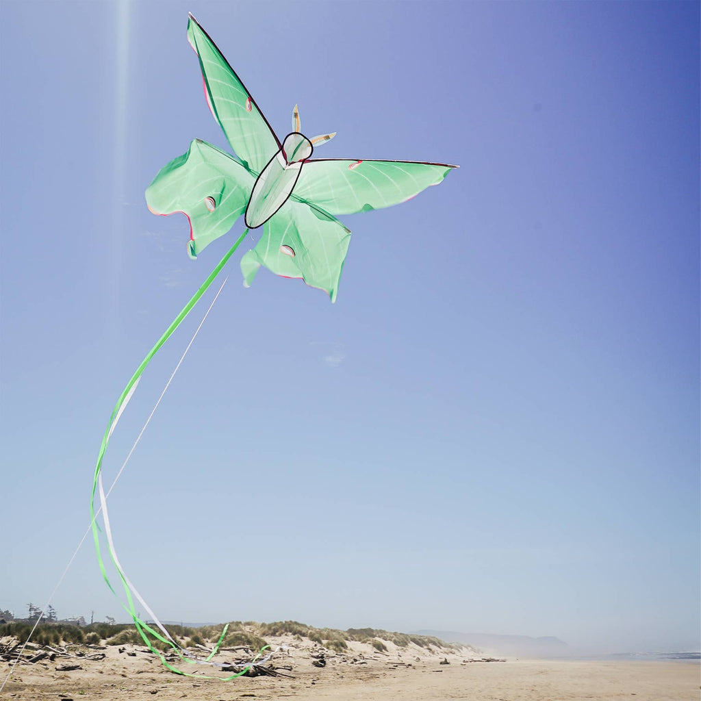 Luna Moth Kite