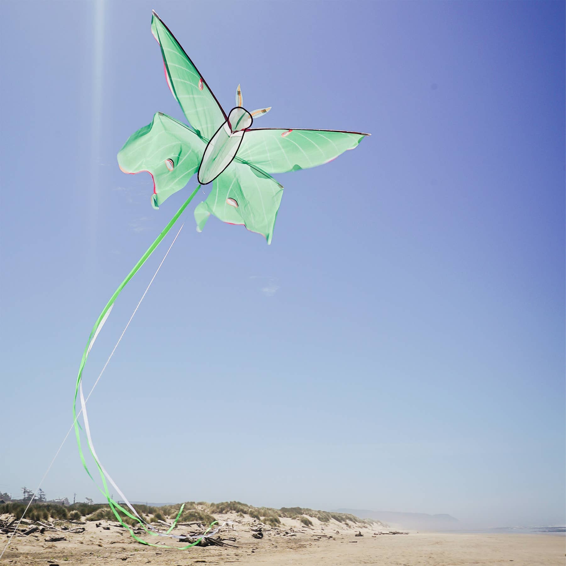 Luna Moth Kite