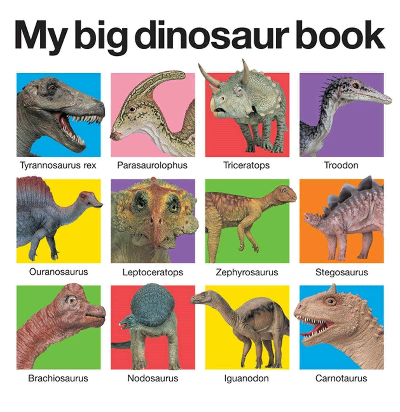 My Big Dinosaur Book (Casebound):