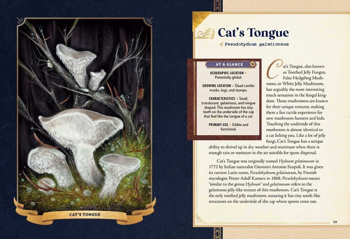 Little Book of Mushrooms