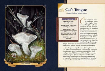 Little Book of Mushrooms