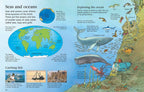 First Encyclopedia Of Our World: Usborne