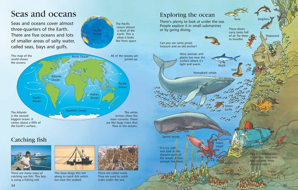 First Encyclopedia Of Our World: Usborne