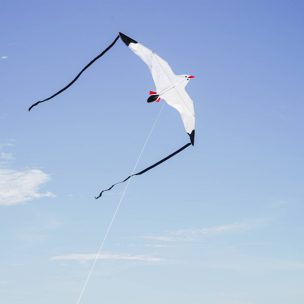 Seagull Kite