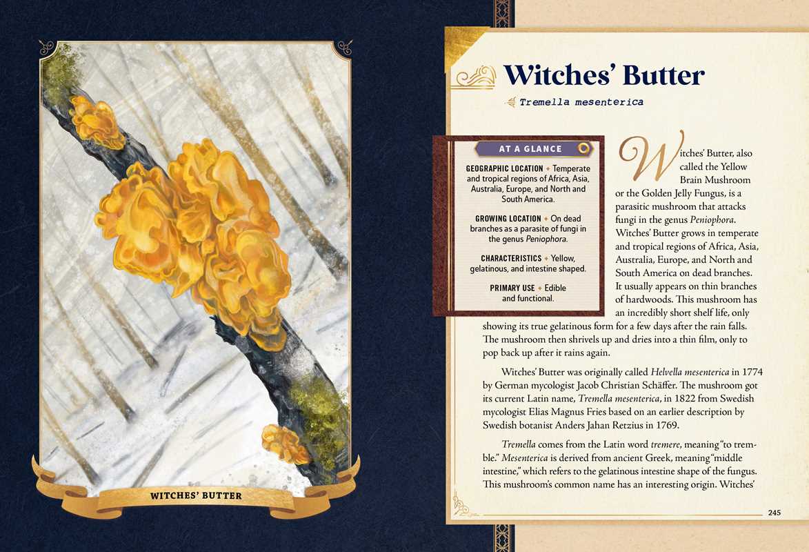 Little Book of Mushrooms