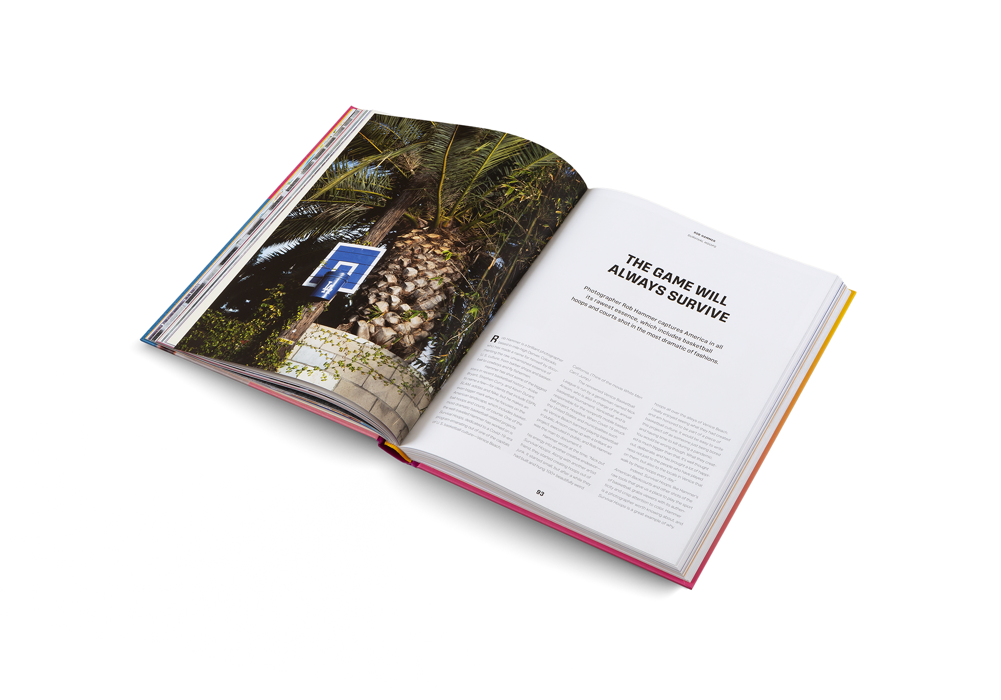 Courtside Candy: The Culture and Influence of Basketball