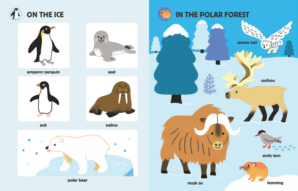 My Big Book of Animal Sounds