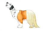 Mix-a-Mutt: Make Your Own Wacky Canine!