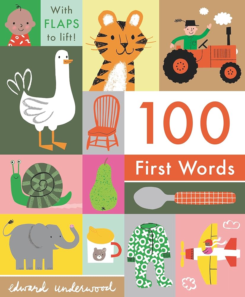 100 First Words: With Flaps to Lift cover image