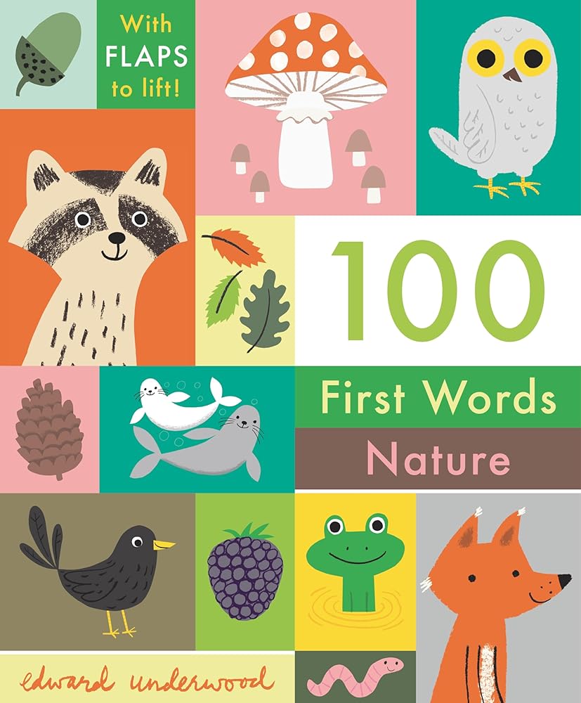 100 First Words: Nature: With Flaps to Lift cover image