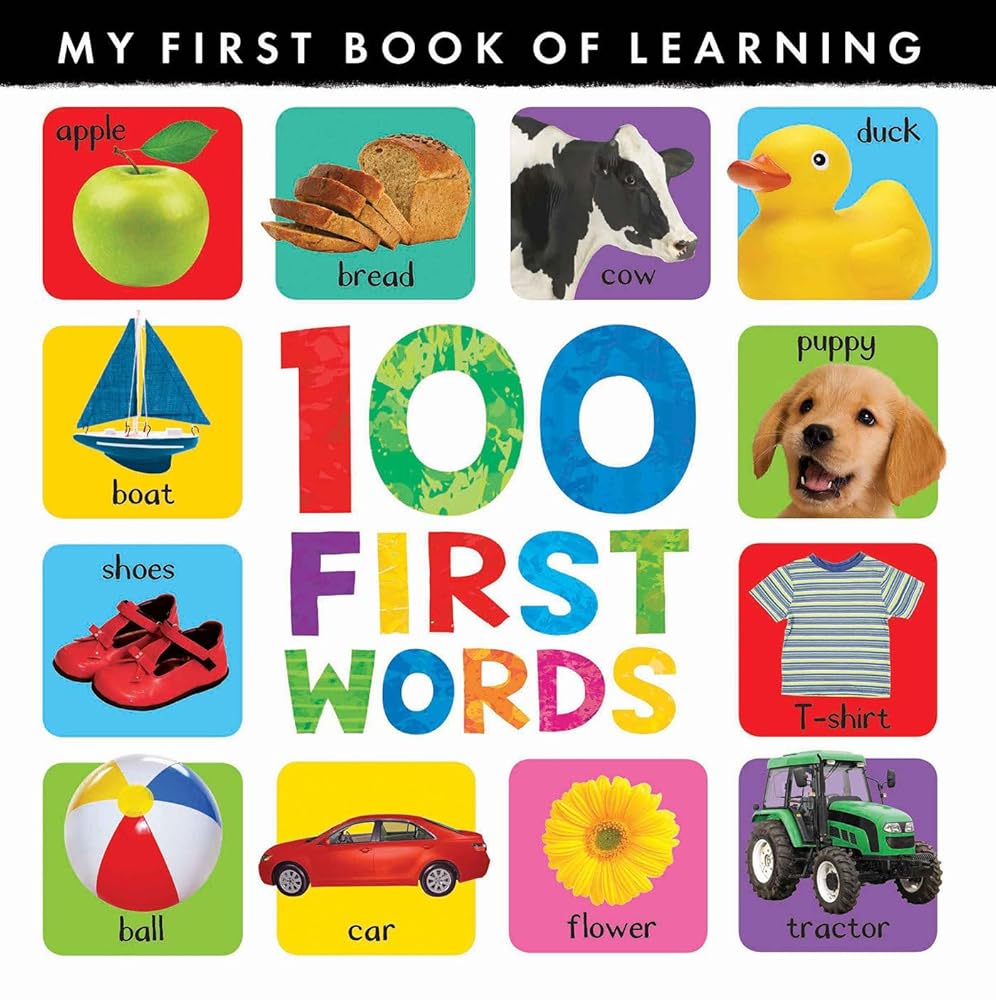 100 First Words (My First) cover image
