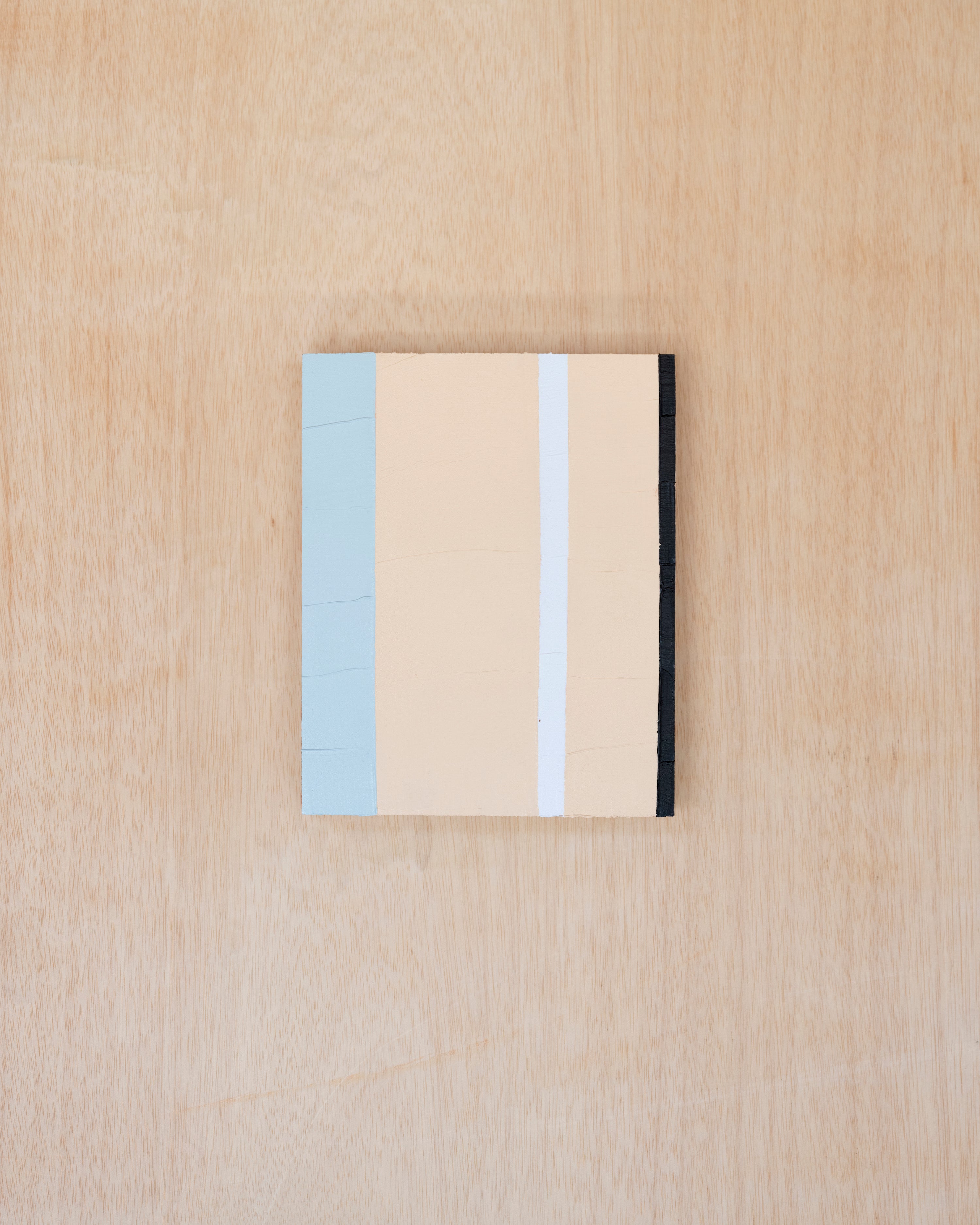 Kristin Texeira - PAT THE BUNNY