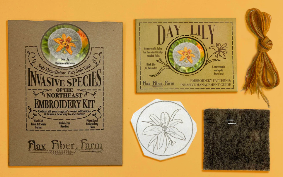 Invasive Species of the Northeast Embroidery Kit - Day Lily