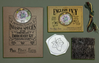 Invasive Species of the Northeast Embroidery Kit - English Ivy