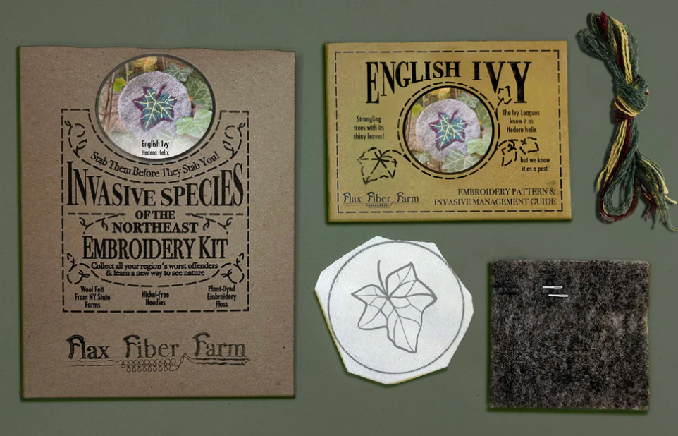 Invasive Species of the Northeast Embroidery Kit - English Ivy