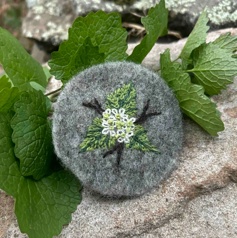 Invasive Species of the Northeast Embroidery Kit - Garlic Mustard