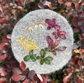 Invasive Species of the Northeast Embroidery Kit - Japanese Barberry