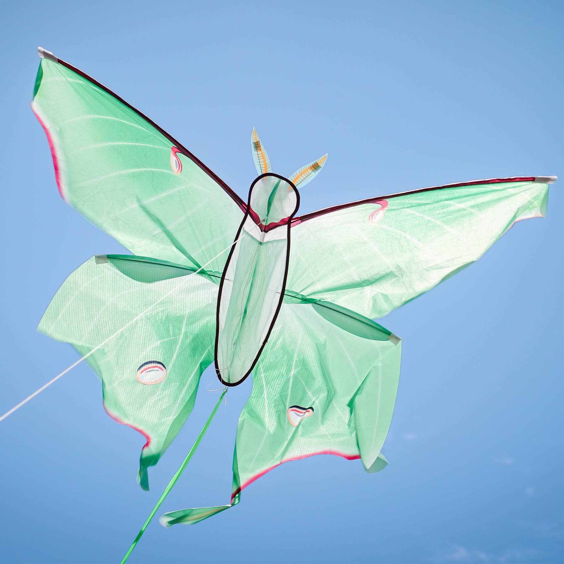 Luna Moth Kite