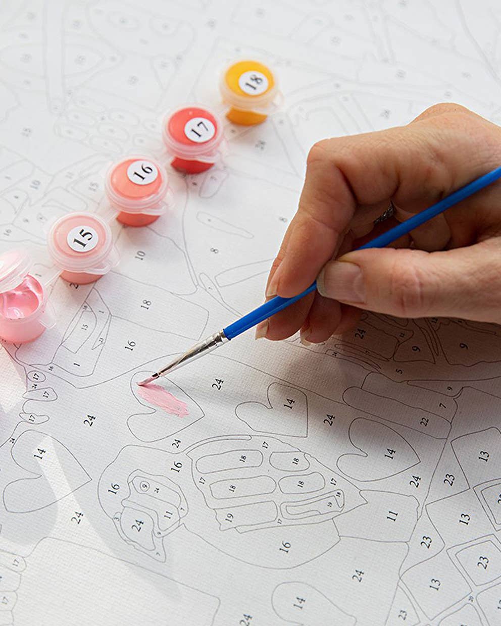 Paint by Numbers Kit & Canvas - In Bloom