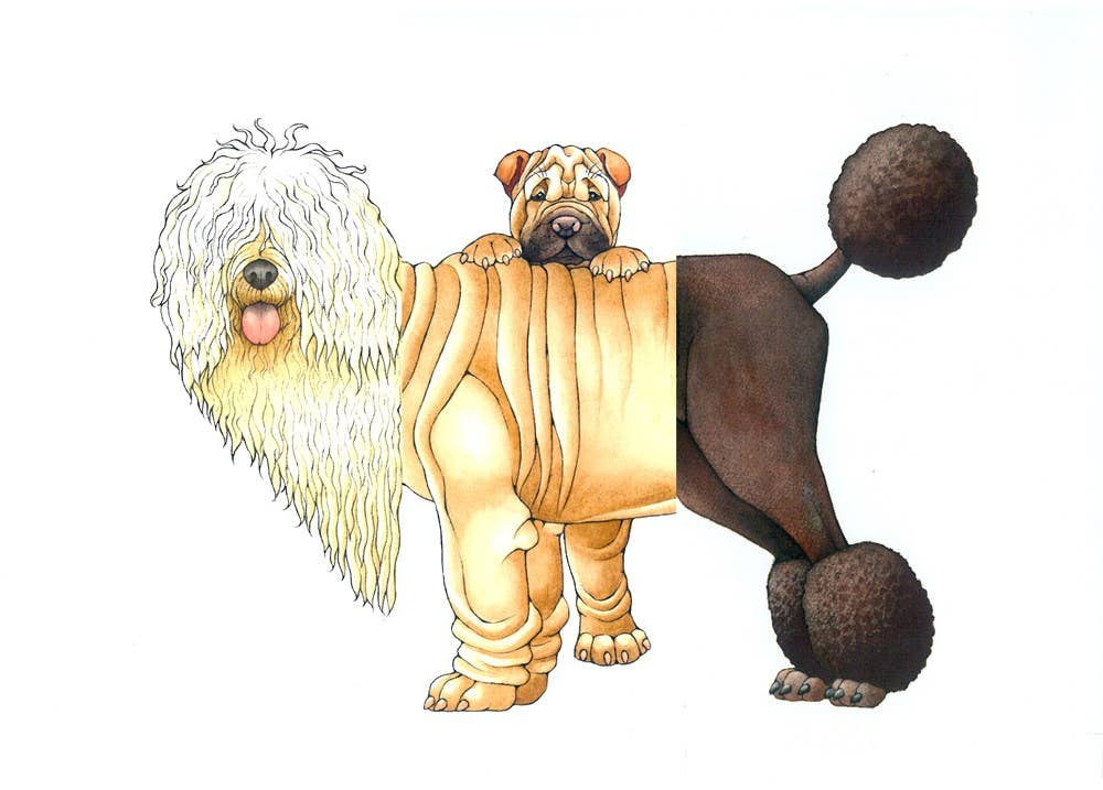 Mix-a-Mutt: Make Your Own Wacky Canine!