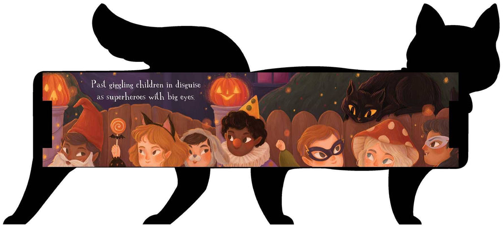 One Black Cat by Robie Rogge: Board Books; 12 pages / English