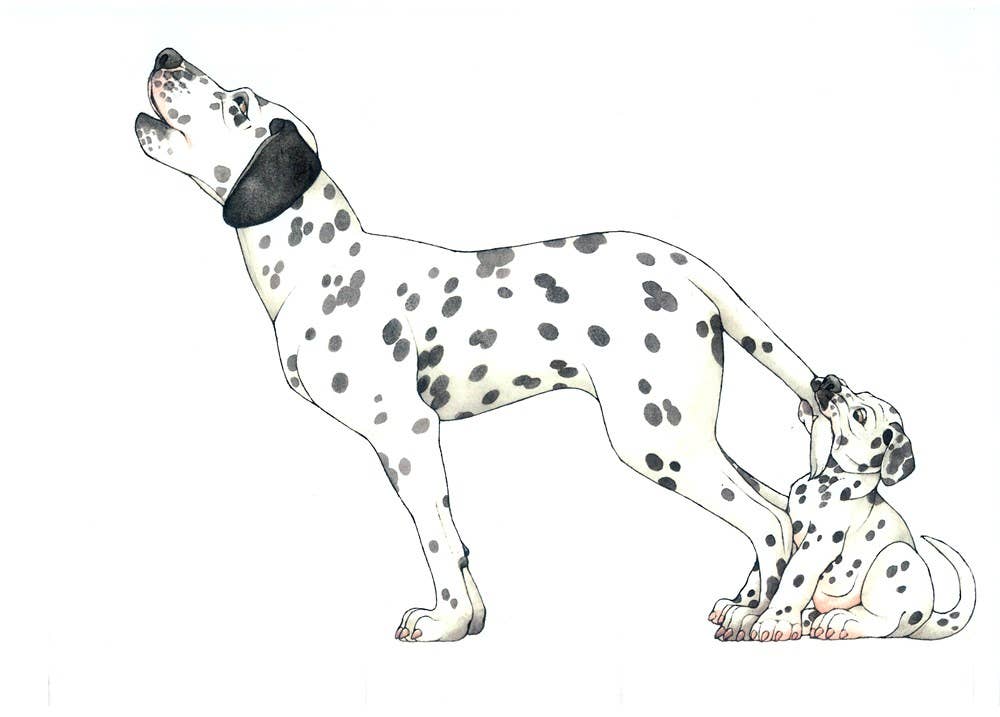 Mix-a-Mutt: Make Your Own Wacky Canine!